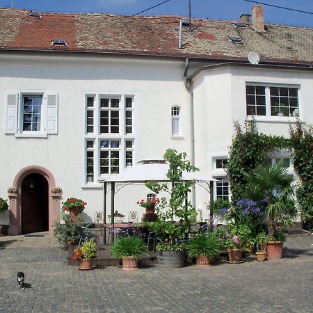 Bio-Weingut, Gaestehaus Und Kraeuterhof Flomborn Eksteriør bilde