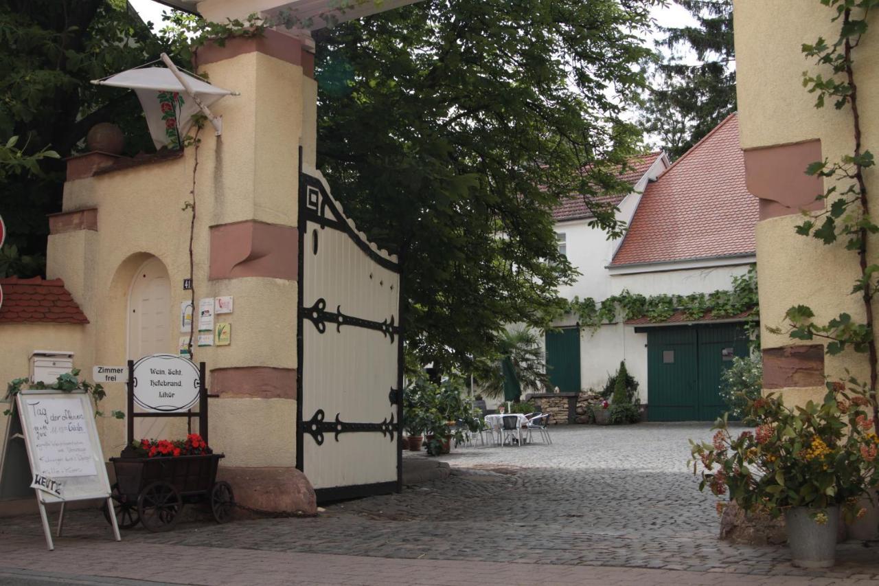 Bio-Weingut, Gaestehaus Und Kraeuterhof Flomborn Eksteriør bilde