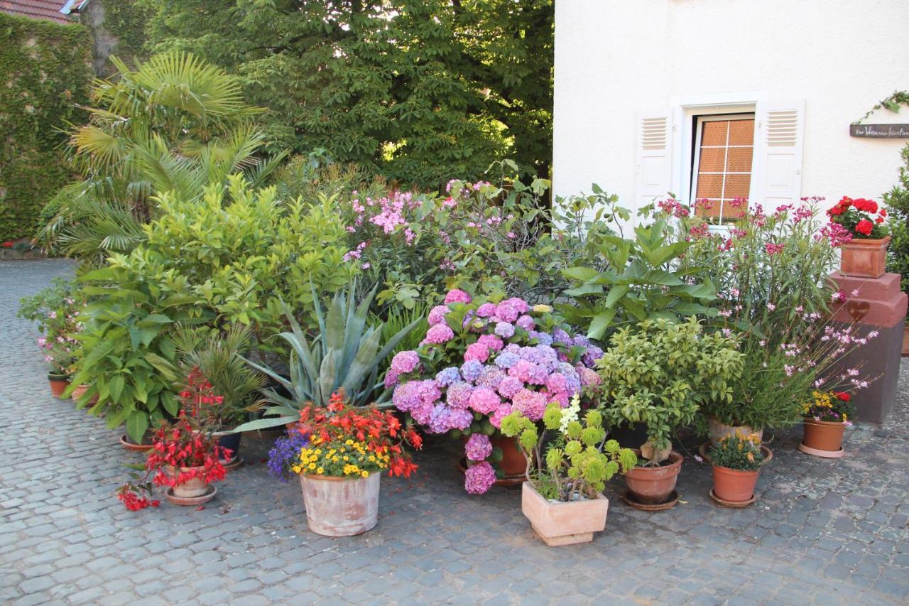 Bio-Weingut, Gaestehaus Und Kraeuterhof Flomborn Eksteriør bilde