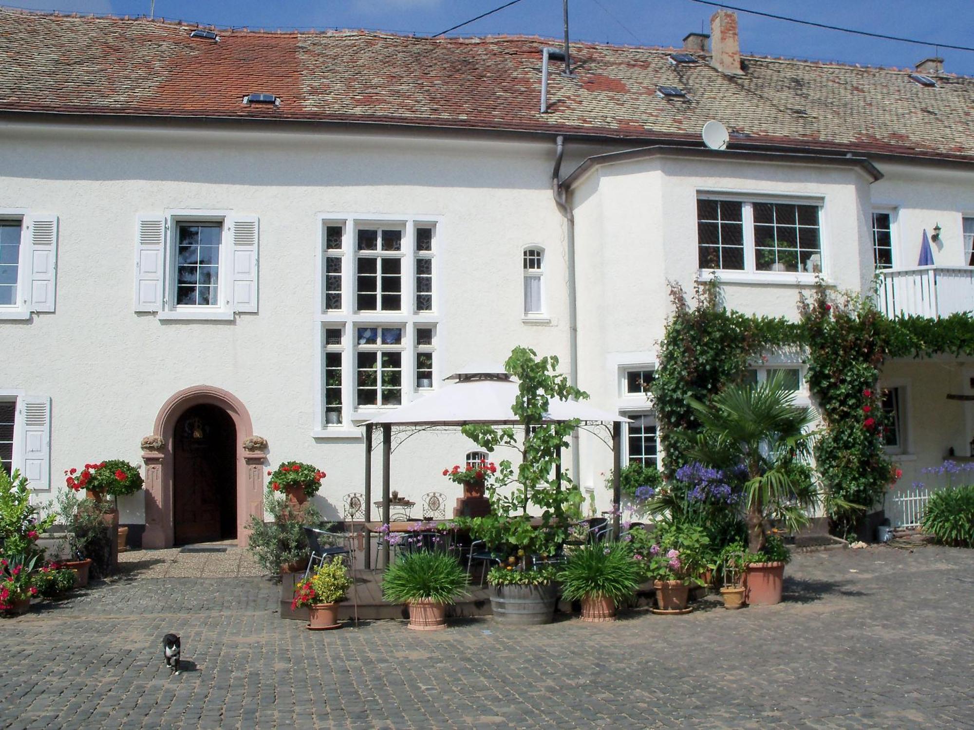 Bio-Weingut, Gaestehaus Und Kraeuterhof Flomborn Eksteriør bilde